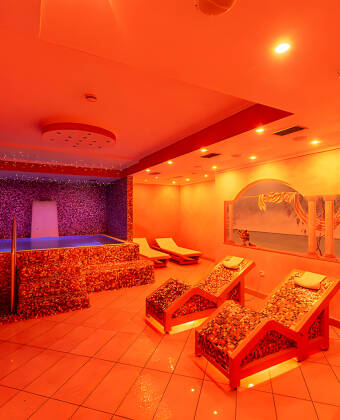 Sie haben freien Zugang zum schönen Wellnessbereich des Hotels, der folgendes beinhaltet: Sauna, Dampfbad und Whirlpool.