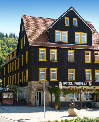 Ferien Hotel Forelle