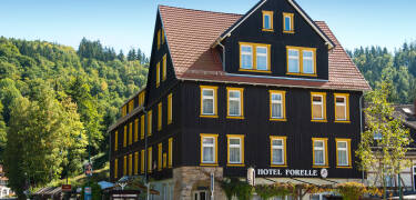 Ferien Hotel Forelle