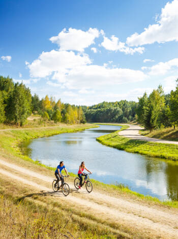 Explore nature and enjoy the fresh air with a bike ride along the Elbe.