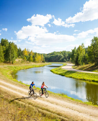 Explore nature and enjoy the fresh air with a bike ride along the Elbe.