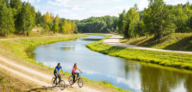 Explore nature and enjoy the fresh air with a bike ride along the Elbe.