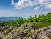 Excursions in the Harz Mountains can be arranged and details are available at reception.