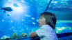 From the hotel you can reach the Wunderino Arena, the GEOMAR Aquarium or the Schauspielhaus Kiel in just a few minutes.