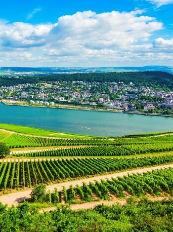 Udforsk vinmarkerne og få let adgang til vinsmagninger i Rheingau området.