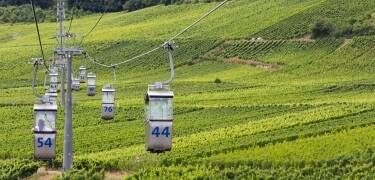 Die nahegelegene Seilbahn bringt Sie über die Weinberge hinauf zum Niederwalddenkmal.