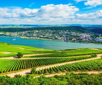 Utforska vinodlingarna och ta del av vinprovningar i Rheingau-regionen.