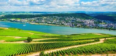 Udforsk vinmarkerne og få let adgang til vinsmagninger i Rheingau området.