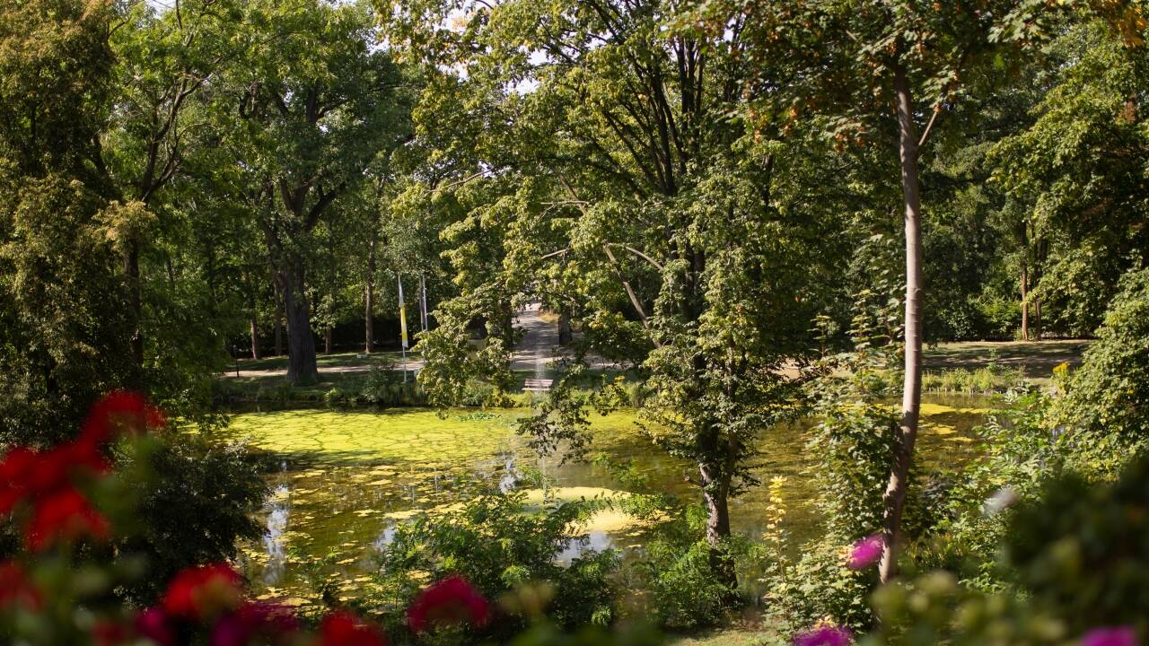 Et flott parkanlegg omslutter den vakre hotellbygningen. Like ved skogkanten og hotellets egen innsjø.
