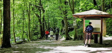 I Bodetal hittar ni flera olika vandringsleder med olika svårighetsgrad