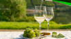 Regionalen Wein genießen Sie auf der zauberhaften Hotelterrasse mit Blick auf die Weinberge.