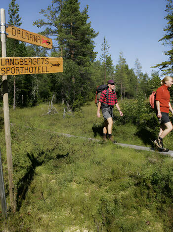 Das Hotel organisierte viele Aktivitäten wie Käfer-Safaris, Wander- und Radtouren, und Bootstörns.