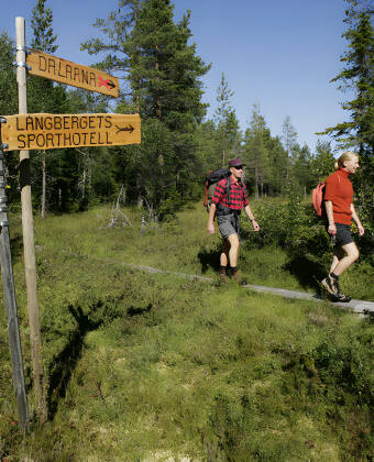 Hotellet arrangerer masser af forskellige aktiviteter såsom bæversafari, vandre- og cykelture og sejlture i området.