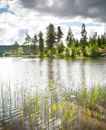 Udforsk den svenske natur når den er bedst, med dejlige udflugter i det naturskønne Värmland.