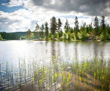 Utforsk svensk natur på sitt beste, med herlige utflukter i naturskjønne Värmland.