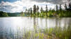 Udforsk den svenske natur når den er bedst, med dejlige udflugter i det naturskønne Värmland.