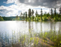 Udforsk den svenske natur når den er bedst, med dejlige udflugter i det naturskønne Värmland.