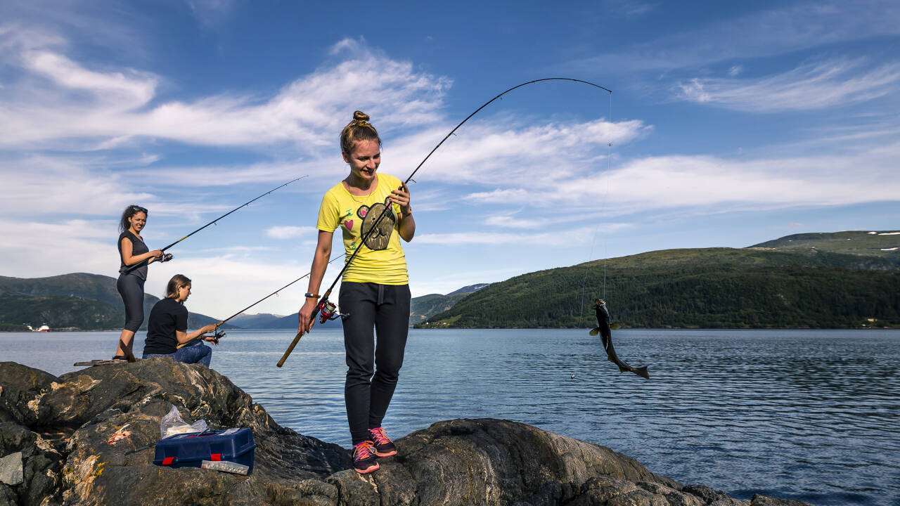 Hvis du skal fiske, så er Langesund en god base, ettersom det er et av Nord-Europas rikeste fiskeområder