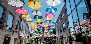 Udforsk Vejle by hvor I bl.a. kan shoppe, gå en tur ned ad Paraplygaden og slappe af på Bryggen