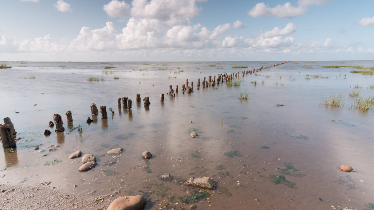 Ribe is close to the Wadden Sea National Park, a UNESCO World Heritage site known for its unique nature.