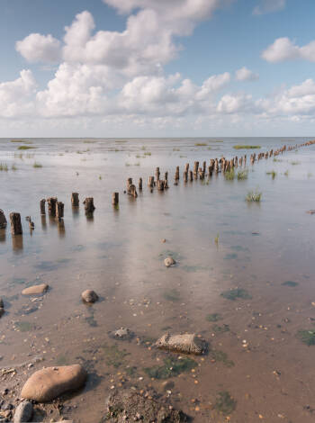 Ribe liegt in der Nähe des Nationalparks Wattenmeer, einem UNESCO-Weltnaturerbe mit einzigartiger Natur.