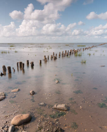 Ribe ligger tæt på Nationalpark Vadehavet, et UNESCO verdensarvsområde kendt for sin unikke natur.