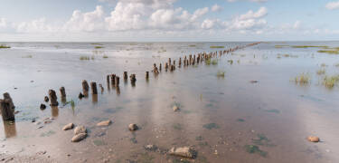 Ribe ligger nær Vadehavet nasjonalpark, et UNESCO verdensarvsted kjent for sin unike natur.