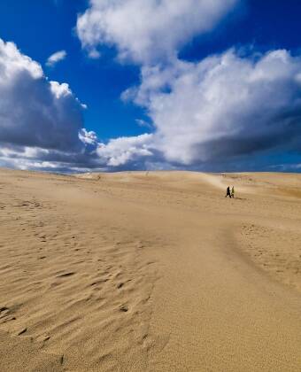 Visit Denmark’s largest migrating sand dune (Råbjerg Mile), located just a few minutes away – a unique natural phenomenon in Northern Europe.