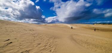 Besuchen Sie die größte Wanderdüne Dänemarks, Råbjerg Mile, nur wenige Minuten entfernt – ein einzigartiges Naturphänomen in Nordeuropa.