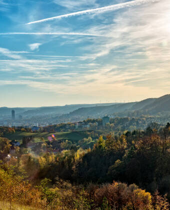 Die Universitätsstadt Jena liegt nur eine halbe Autostunde vom Hotel entfernt. Hier können Sie die Natur genießen oder das berühmte Zeiss-Planetarium besuchen.