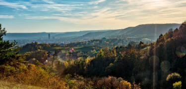 Die Universitätsstadt Jena liegt nur eine halbe Autostunde vom Hotel entfernt. Hier können Sie die Natur genießen oder das berühmte Zeiss-Planetarium besuchen.