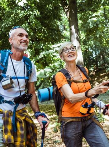 Well-marked hiking routes help you discover the area.