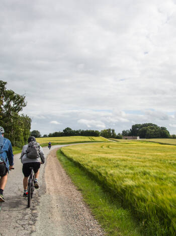 Man kann leicht auf der Insel aktiv bleiben. Machen Sie eine Fahrradtour und entdecken Sie die schöne Umgebung.