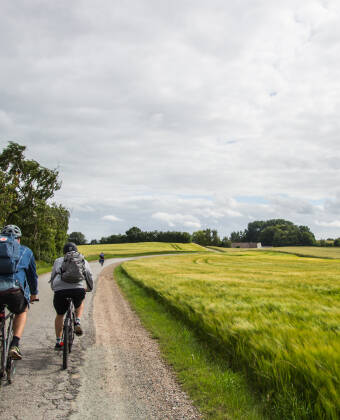 Man kann leicht auf der Insel aktiv bleiben. Machen Sie eine Fahrradtour und entdecken Sie die schöne Umgebung.