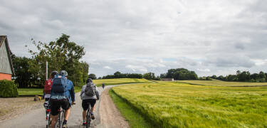 Man kann leicht auf der Insel aktiv bleiben. Machen Sie eine Fahrradtour und entdecken Sie die schöne Umgebung.