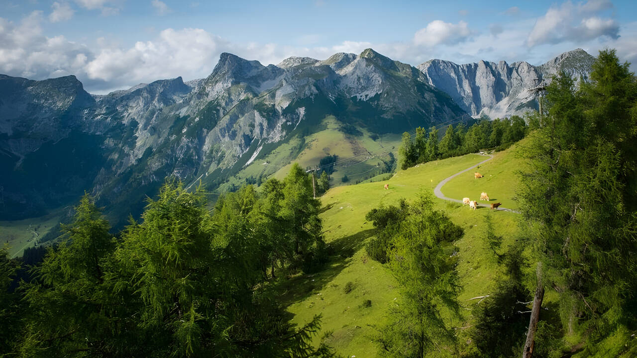 Enjoy a peaceful mountain getaway in the beautiful province of Salzburg.