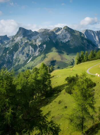 Enjoy a peaceful mountain getaway in the beautiful province of Salzburg.