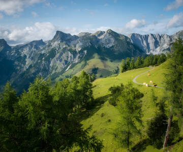Genießen Sie eine erholsame Auszeit in den Bergen im wunderschönen Salzburger Land.