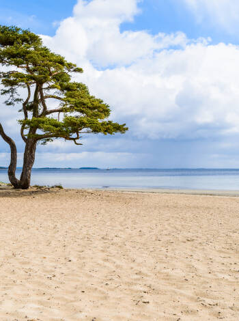 Passa på åka till kuststaden Åhus och besök den vackra sandstranden som är en sevärdhet året runt.