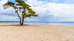 Passa på åka till kuststaden Åhus och besök den vackra sandstranden som är en sevärdhet året runt.
