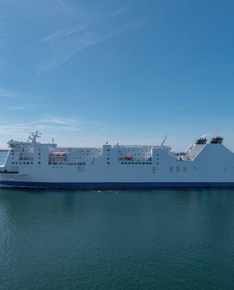 Das Hotel liegt direkt am Fährterminal der Stadt, von wo aus es nach Travemünde, Rostock, Swinousjie, Klaipeda und Sassnitz geht.
