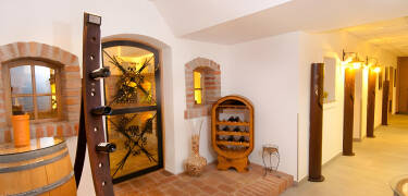 The hotel has its own wine bar, where you can enjoy the taste of a range of Austrian wines.