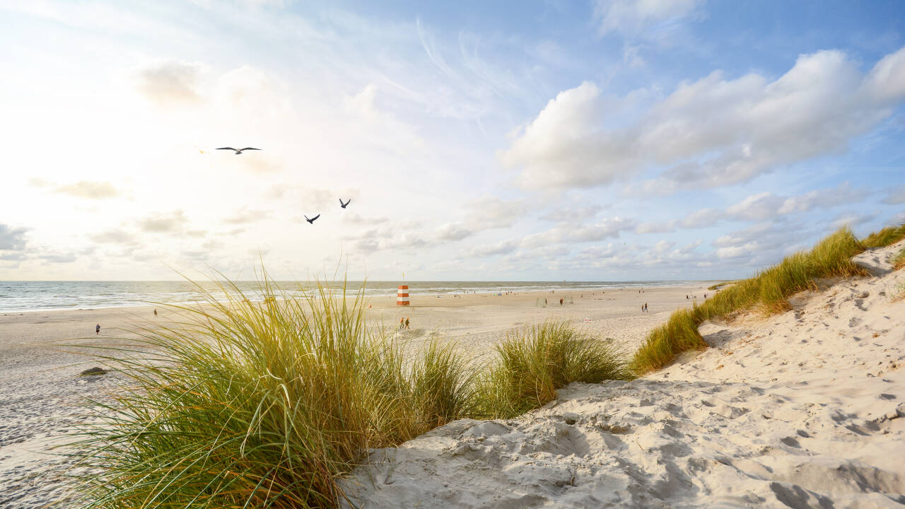 Besøk Henne Strand og utforsk den vakre vestkysten, kun 45 km fra hotellet.