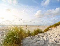 Visit Henne Strand and explore the beautiful west coast, just 45 km from the hotel.