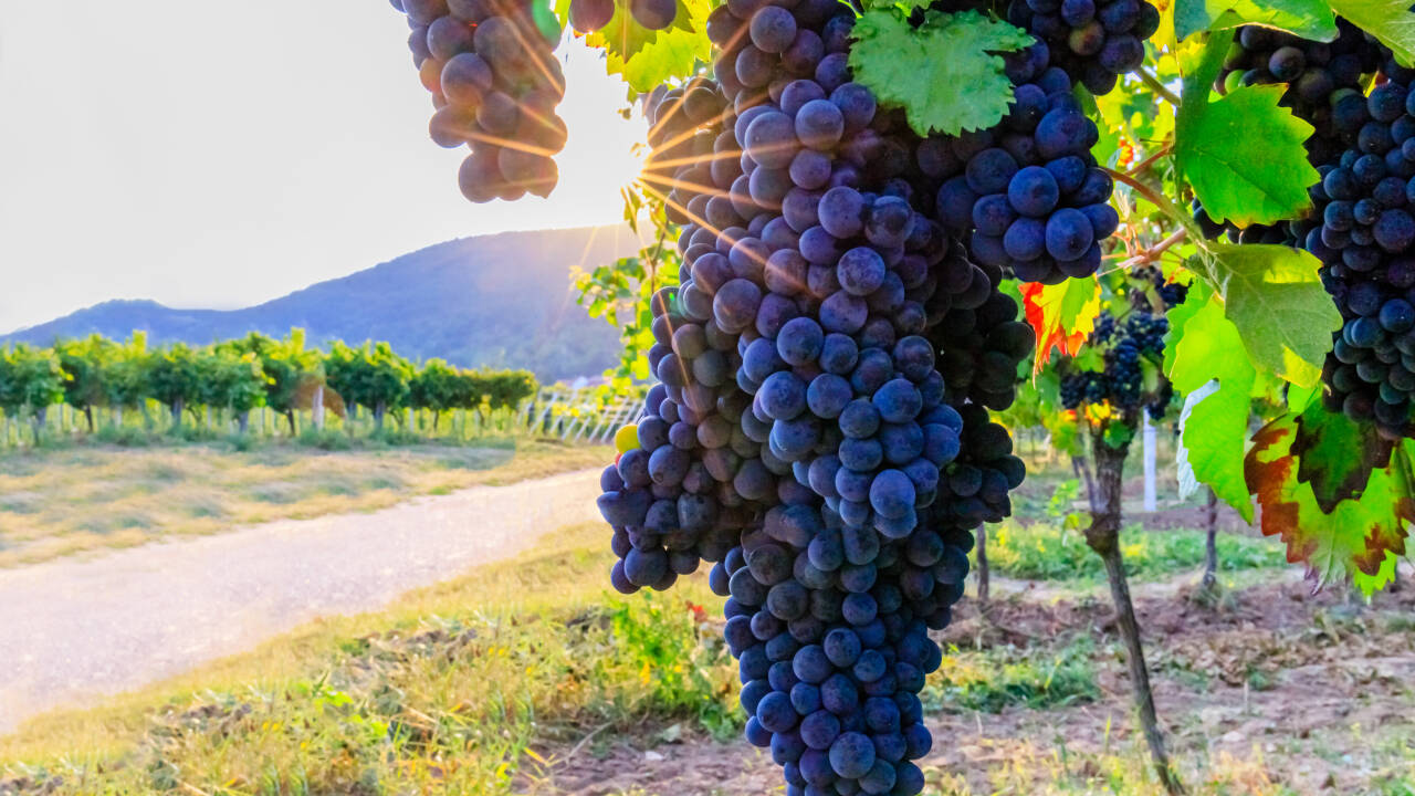 hotel slider thumbnail