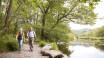 Wanderrouten an Seen und Kanälen entlang oder durch Wälder und Felder begeistern die Aktivurlauber im Precise Resort Hafendorf Rheinsberg.