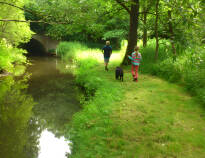 Njut av en promenad i Fyns vackra naturområde, i stillhet eller i sällskap av familjen.