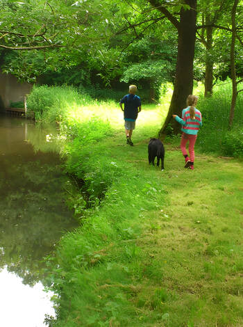 Enjoy a walk in one of Funen's beautiful natural areas, in silence or in the company of your family.