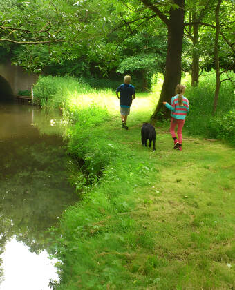 Genießen Sie einen Spaziergang in einem der Naturgebiete von Fünen, allein in Ruhe oder in Begleitung der Familie.