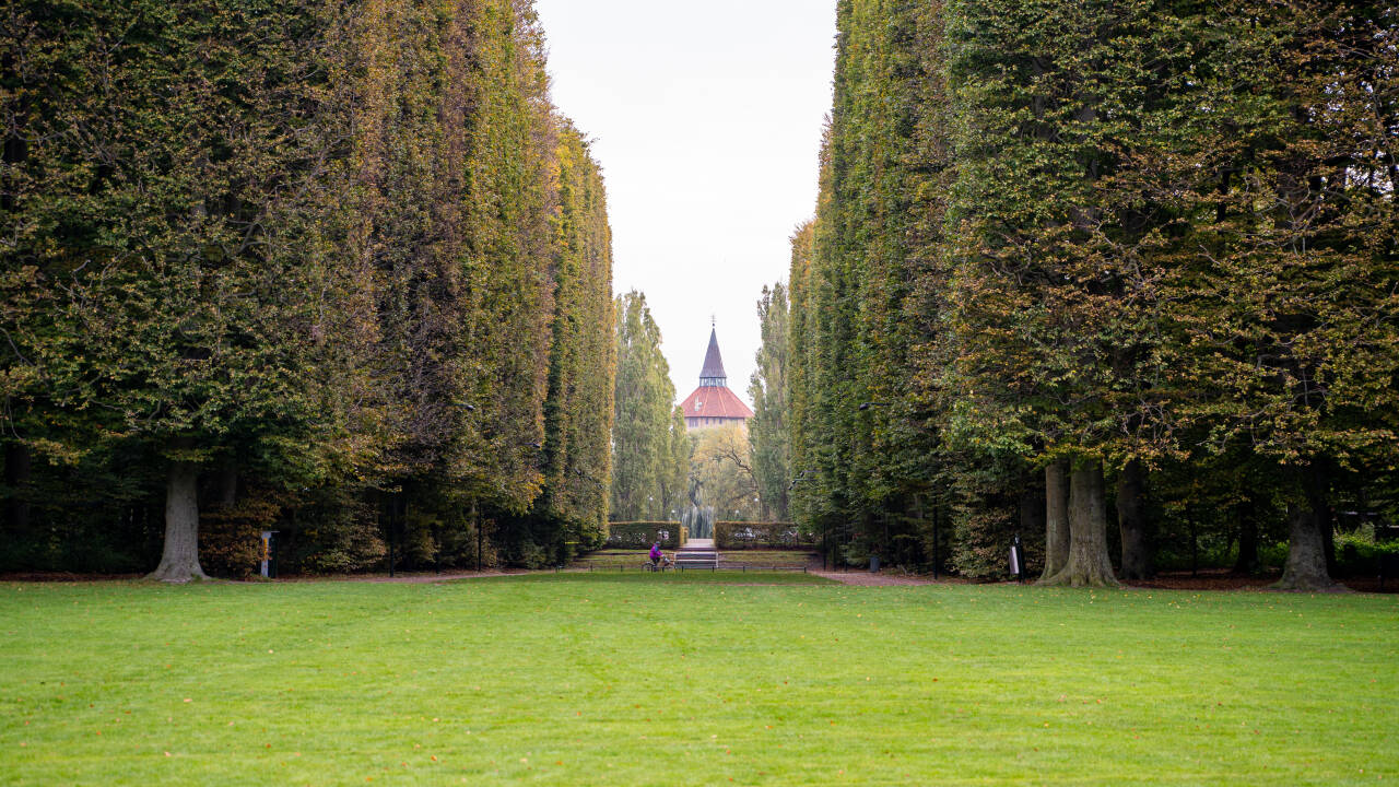 Malmö wird oft als die Stadt der Parks bezeichnet, und hier wohnen Sie in der Nähe des wunderschönen Pildammsparken.